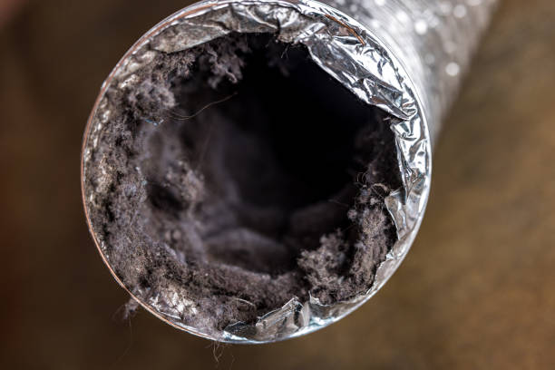 Best Air Duct Mold Removal  in Byron, CA